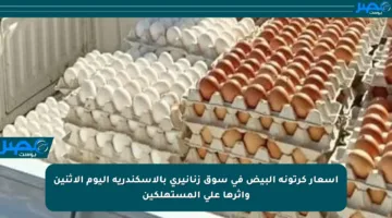 أسعار كرتونة البيض في سوق زنانيرى بالإسكندرية اليوم الاثنين وأثرها على المستهلكين